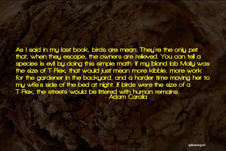 Babitz Motorcycle Quotes By Adam Carolla Babitz Motorcycle Quotes By Adam Carolla