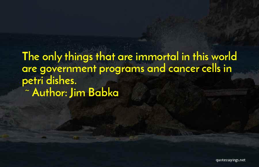 Babka Quotes By Jim Babka