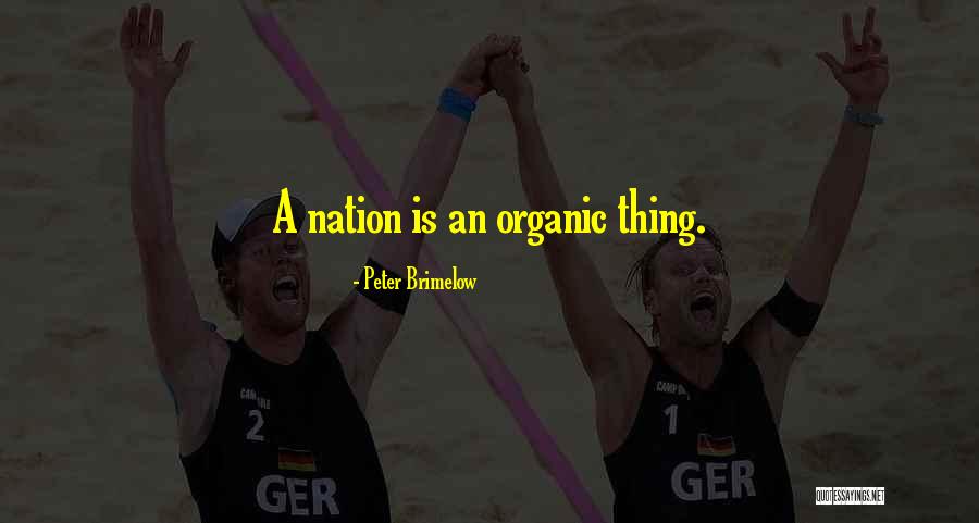 Babken Berberian Quotes By Peter Brimelow Babken Berberian Quotes By Peter Brimelow
