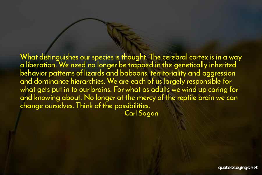 Baboons Quotes By Carl Sagan Baboons Quotes By Carl Sagan