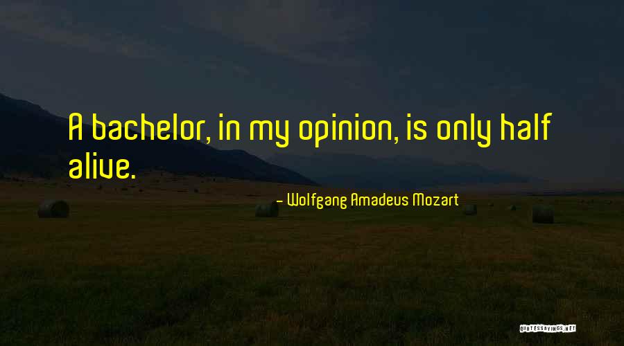 Babulal Bishanlal Bikaneri Quotes By Wolfgang Amadeus Mozart Babulal Bishanlal Bikaneri Quotes By Wolfgang Amadeus Mozart