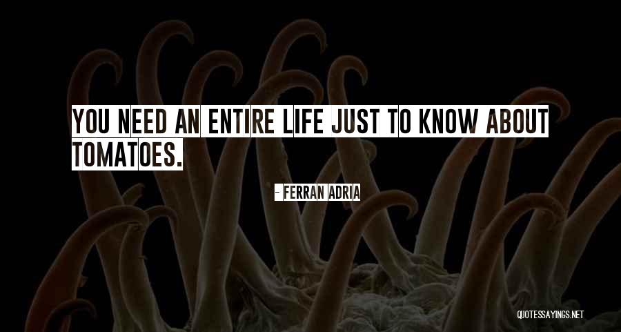 Babulal Varma Quotes By Ferran Adria Babulal Varma Quotes By Ferran Adria