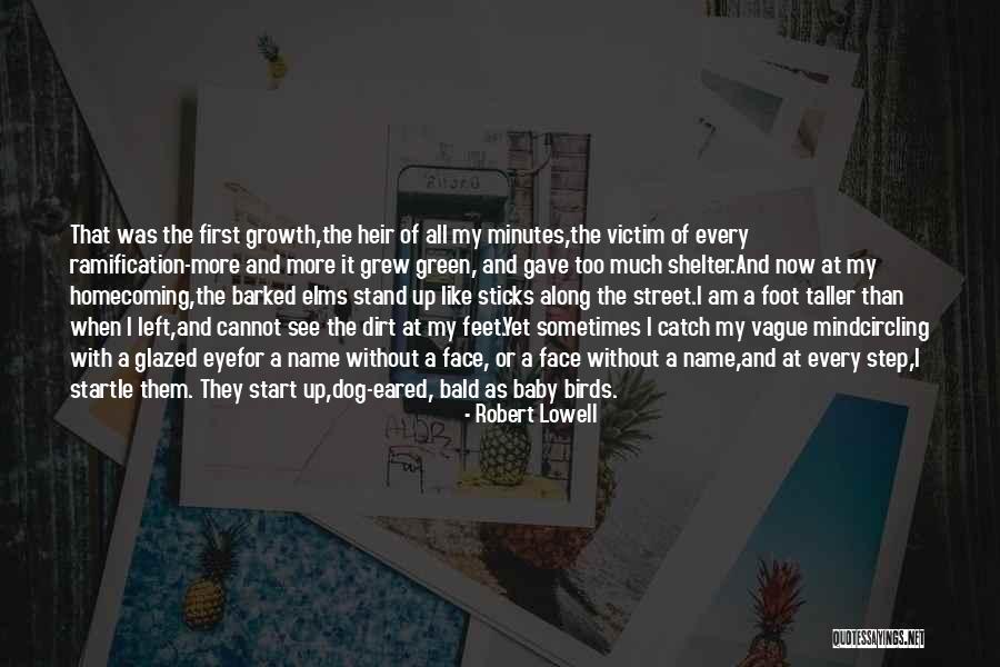 Baby And Dog Quotes By Robert Lowell Baby And Dog Quotes By Robert Lowell