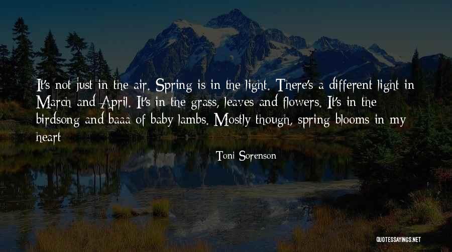 Baby And Flowers Quotes By Toni Sorenson Baby And Flowers Quotes By Toni Sorenson