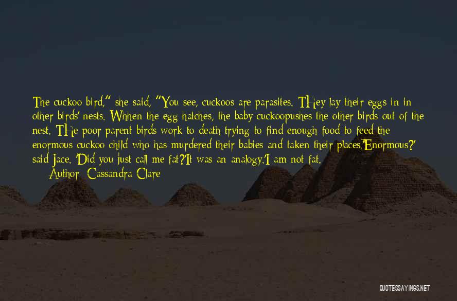 Baby Bird Nest Quotes By Cassandra Clare