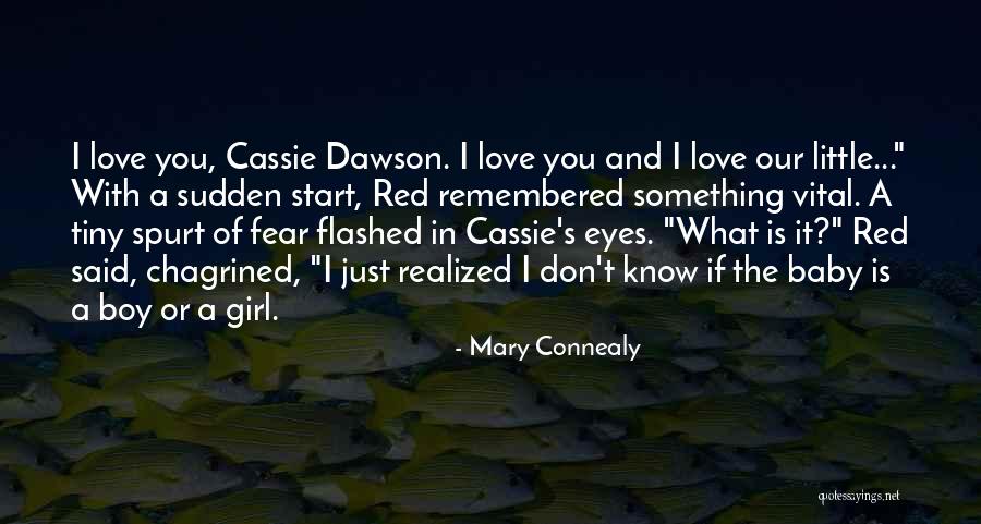 Baby Boy I Love You Quotes By Mary Connealy