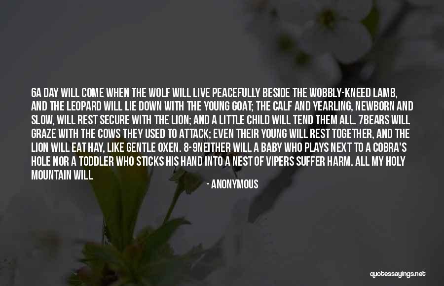 Baby Calf Quotes By Anonymous Baby Calf Quotes By Anonymous