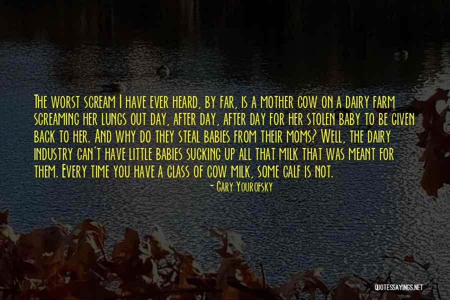 Baby Calf Quotes By Gary Yourofsky