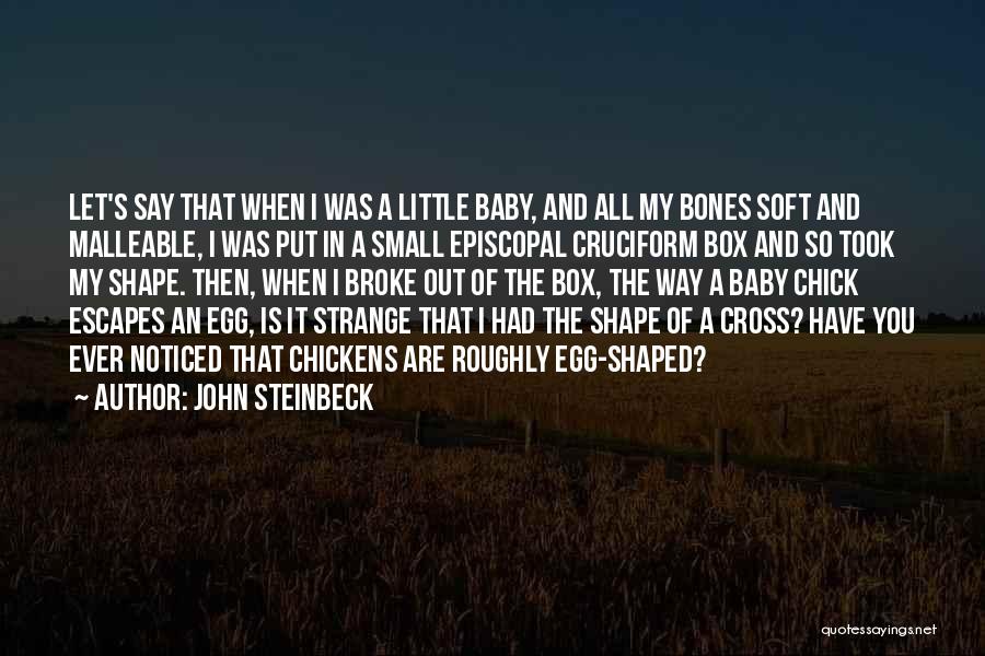 Baby Chickens Quotes By John Steinbeck