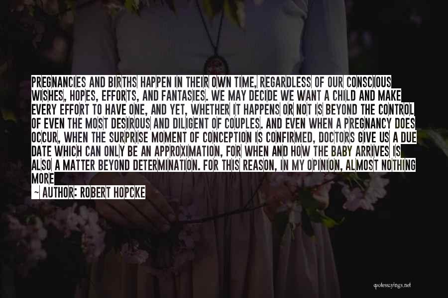 Baby Conception Quotes By Robert Hopcke