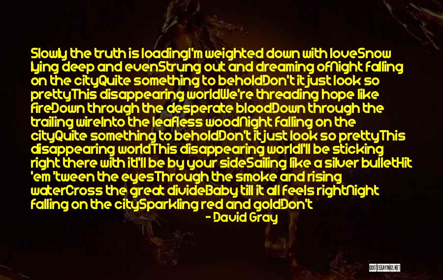 Baby Don't Let Me Down Quotes By David Gray Baby Don't Let Me Down Quotes By David Gray