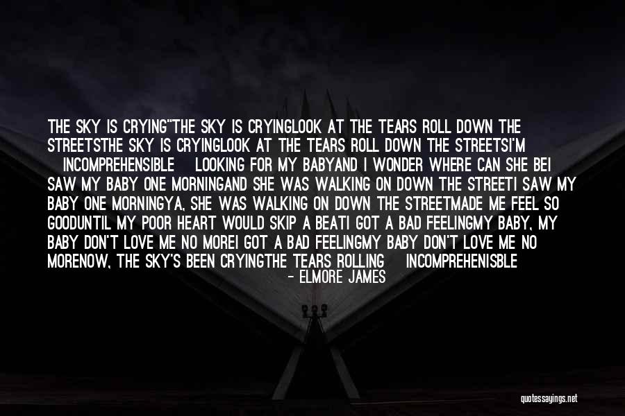 Baby Don't Let Me Down Quotes By Elmore James Baby Don't Let Me Down Quotes By Elmore James
