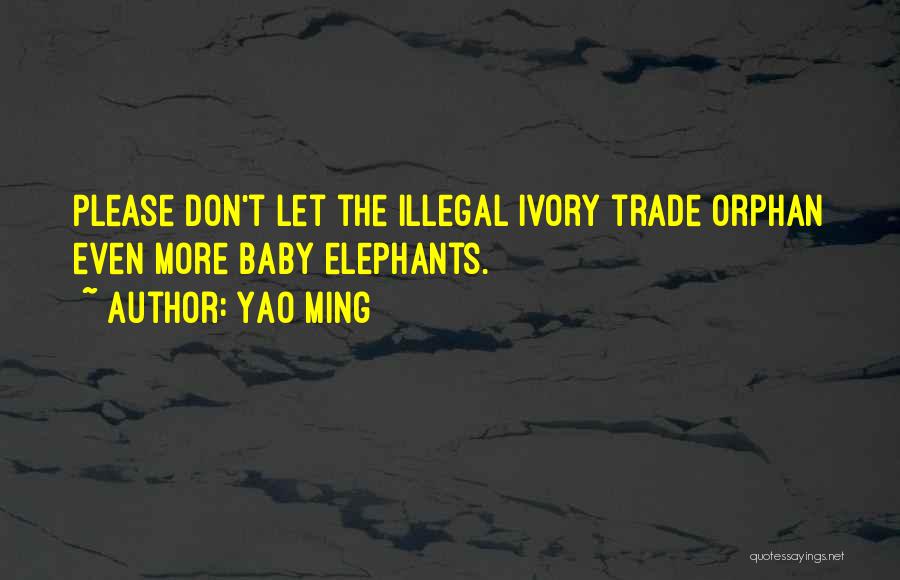 Baby Elephants Quotes By Yao Ming