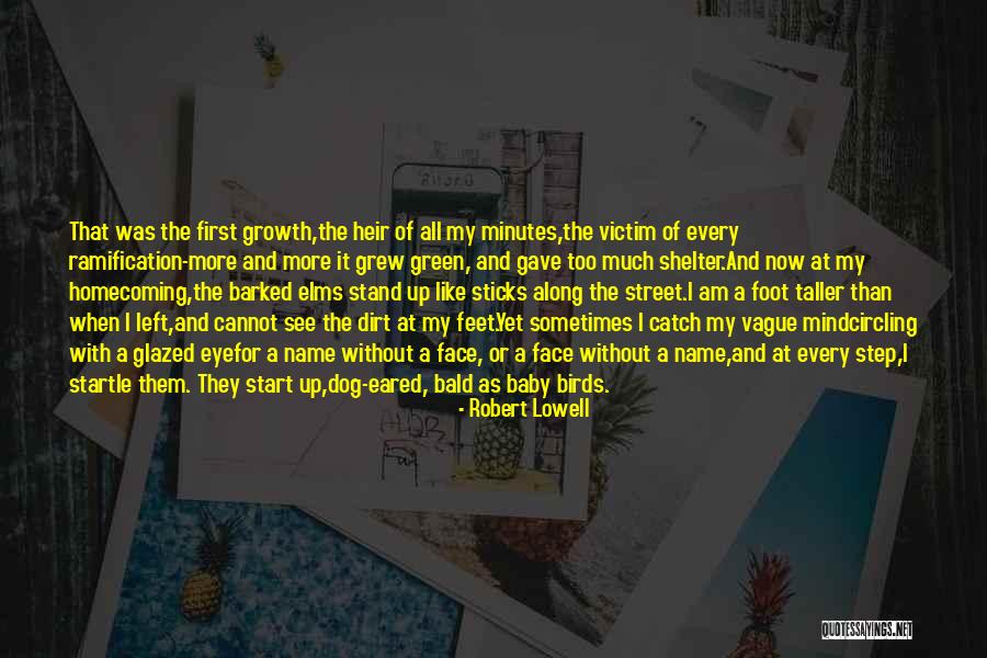 Baby Feet Quotes By Robert Lowell