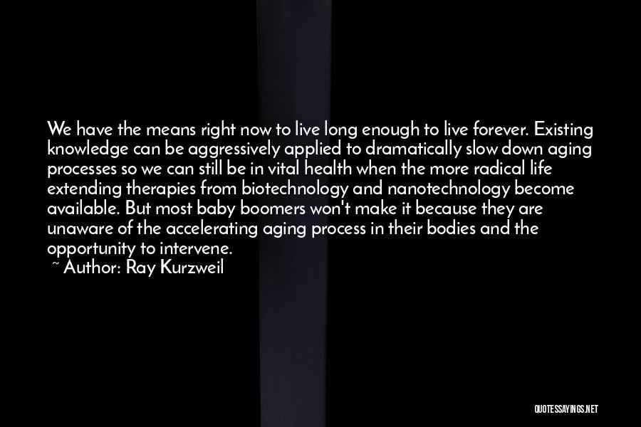 Baby Gone Too Soon Quotes By Ray Kurzweil
