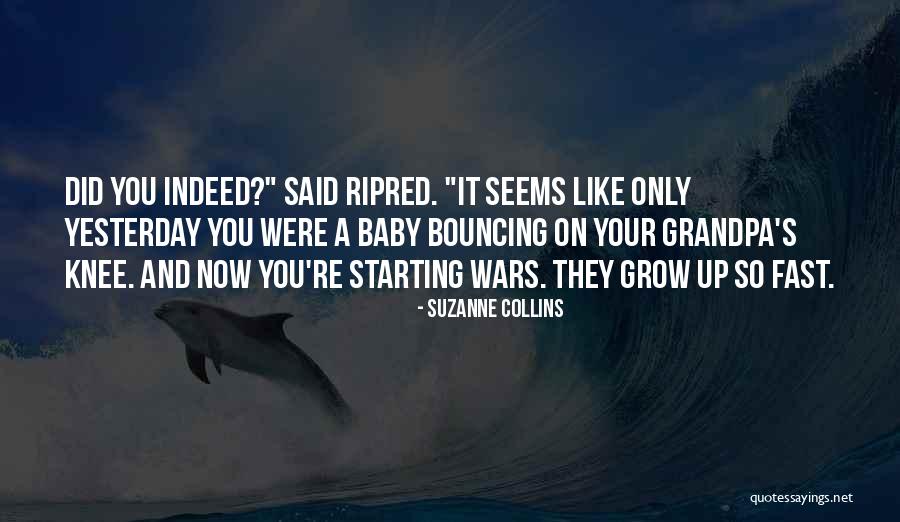 Baby Grow Up Fast Quotes By Suzanne Collins