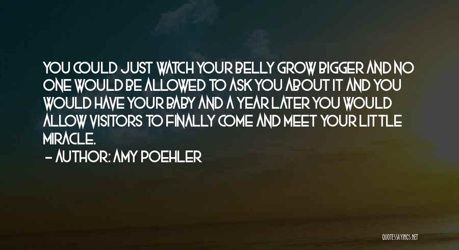 Baby In Belly Quotes By Amy Poehler