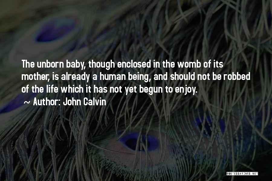 Baby In My Womb Quotes By John Calvin