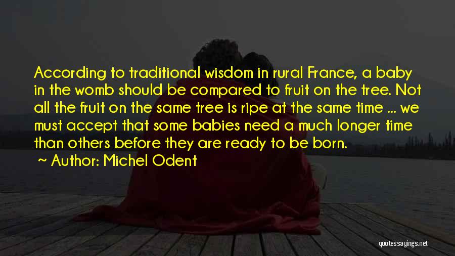 Baby In My Womb Quotes By Michel Odent