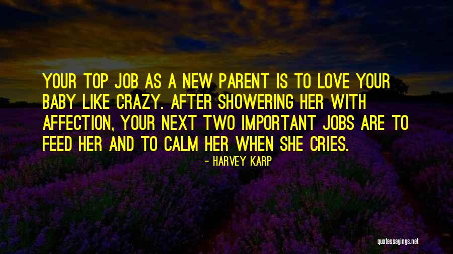 Baby Like Quotes By Harvey Karp