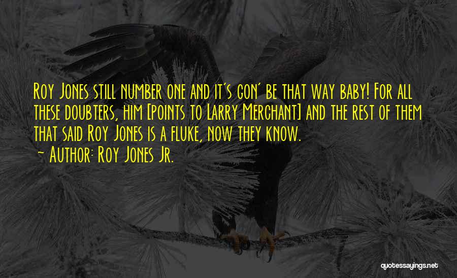 Baby Number 3 Quotes By Roy Jones Jr.
