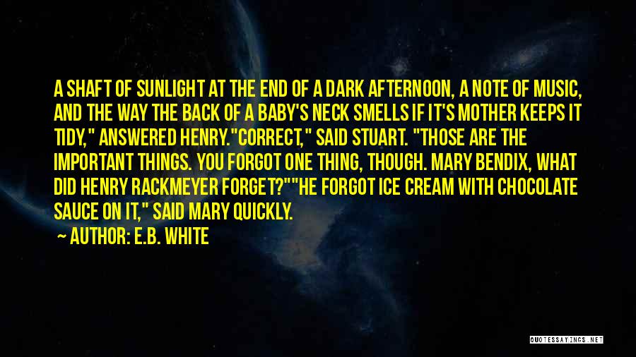 Baby On Way Quotes By E.B. White