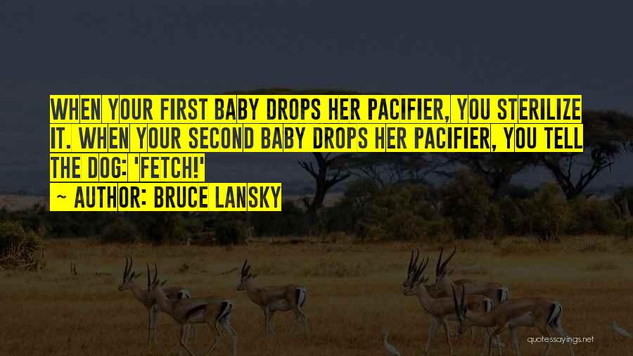 Baby Pacifier Quotes By Bruce Lansky