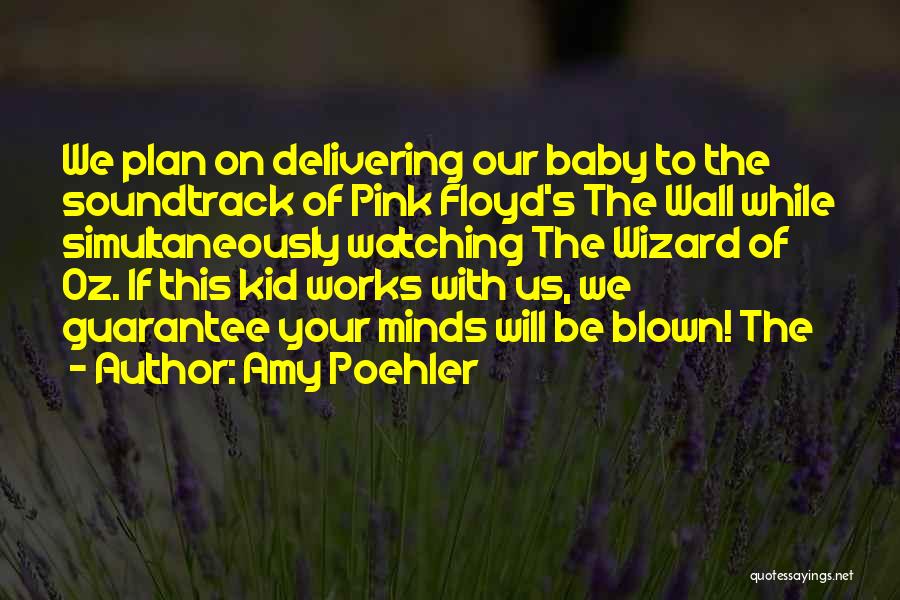 Baby Pink Quotes By Amy Poehler