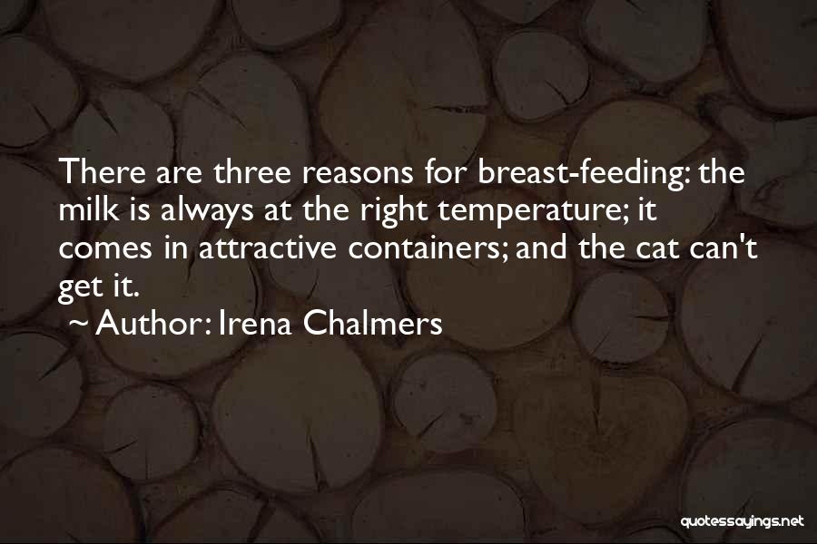 Baby Pregnancy Quotes By Irena Chalmers