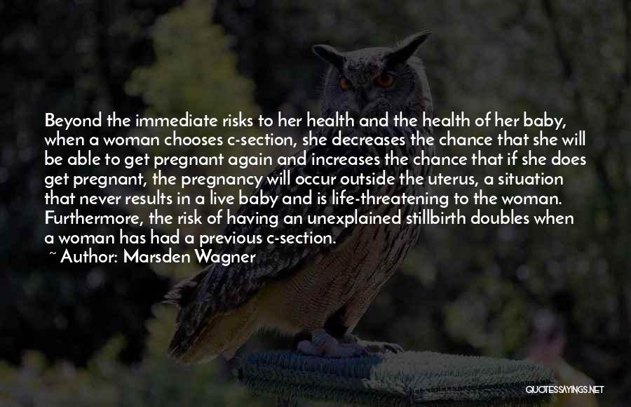 Baby Pregnancy Quotes By Marsden Wagner