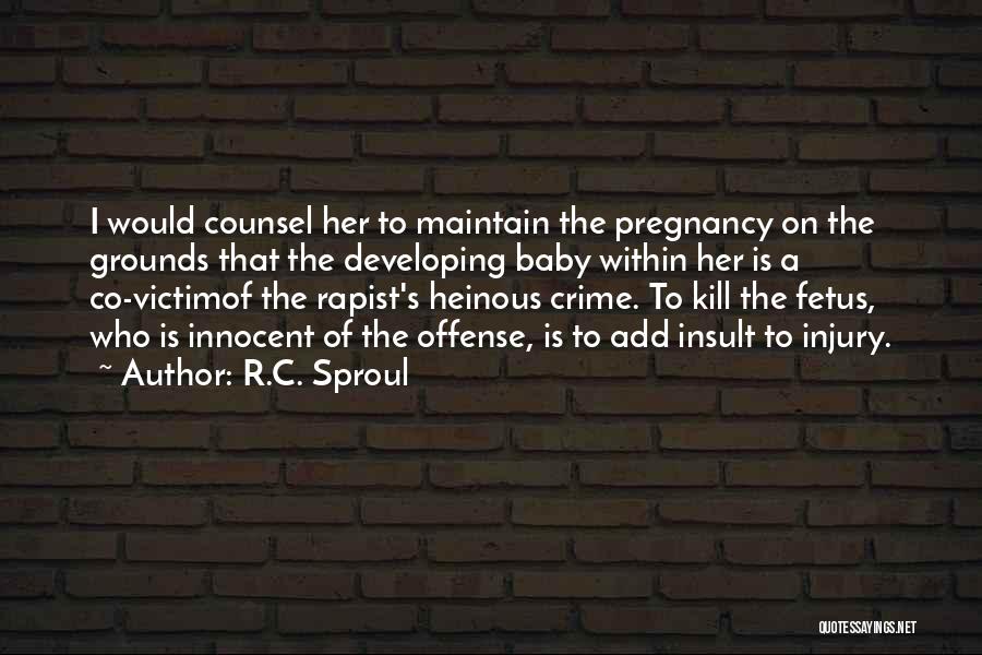 Baby Pregnancy Quotes By R.C. Sproul