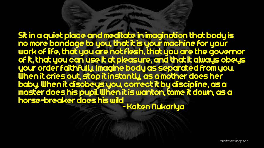 Baby Sit Quotes By Kaiten Nukariya Baby Sit Quotes By Kaiten Nukariya