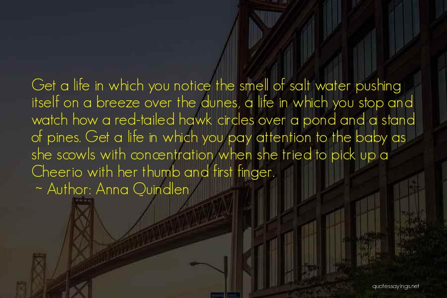 Baby Smell Quotes By Anna Quindlen