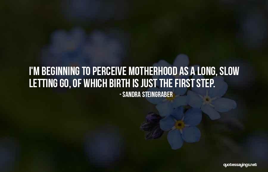 Baby Step Quotes By Sandra Steingraber Baby Step Quotes By Sandra Steingraber