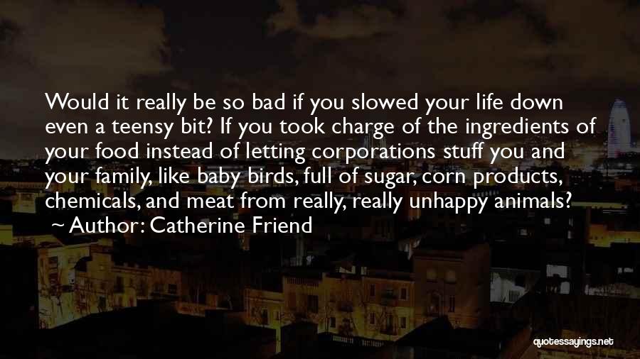 Baby Stuff Quotes By Catherine Friend