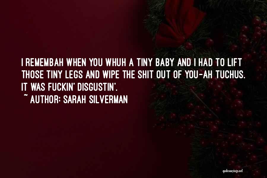 Baby Wipe Quotes By Sarah Silverman