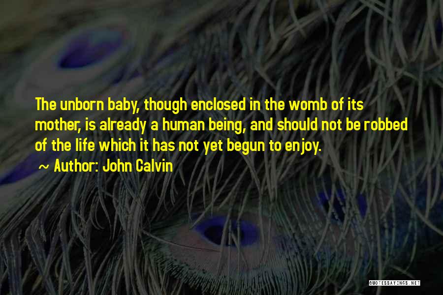 Baby Womb Quotes By John Calvin