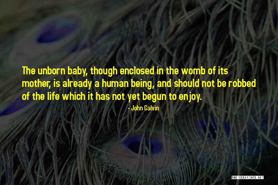 Baby Womb Quotes By John Calvin Baby Womb Quotes By John Calvin