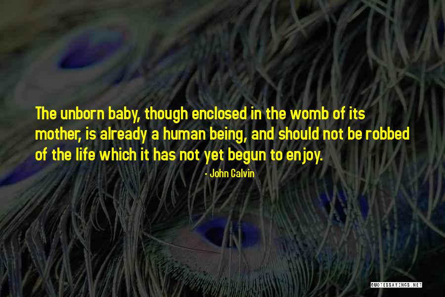 Baby Womb Quotes By John Calvin