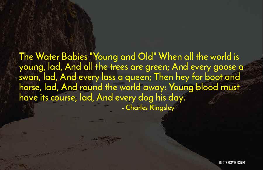 Baby You Are My World Quotes By Charles Kingsley