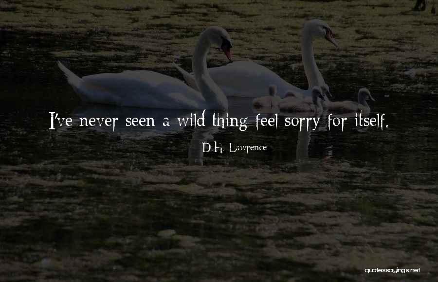 Babyartikelen Buysse Quotes By D.H. Lawrence