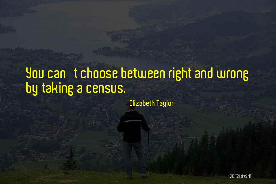 Babyartikelen Buysse Quotes By Elizabeth Taylor