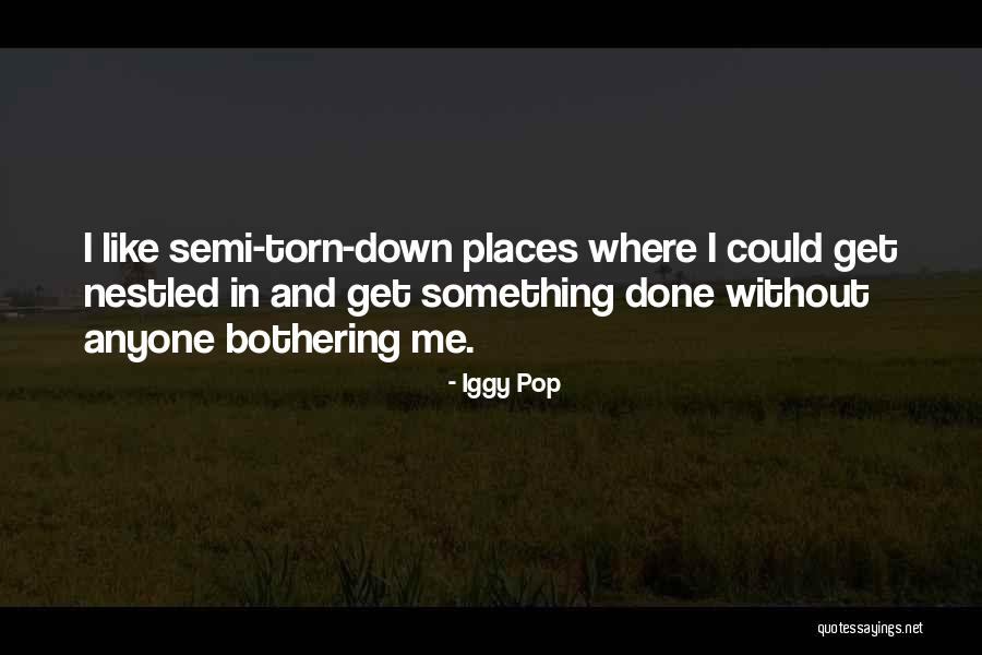 Babyhood Development Quotes By Iggy Pop Babyhood Development Quotes By Iggy Pop