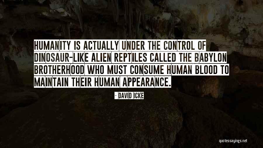 Babylon 5 Quotes By David Icke