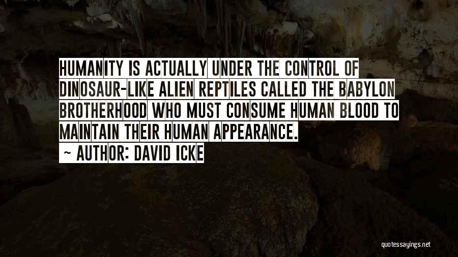 Babylon Quotes By David Icke