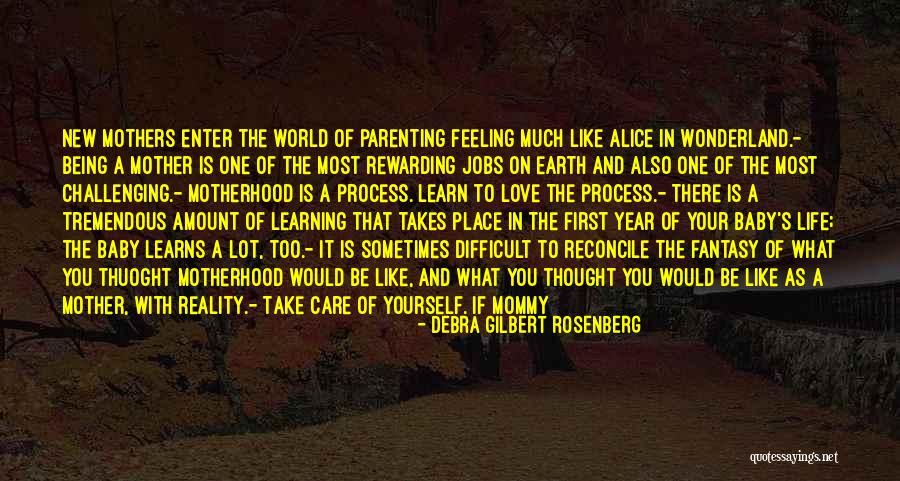 Baby's First Year Quotes By Debra Gilbert Rosenberg