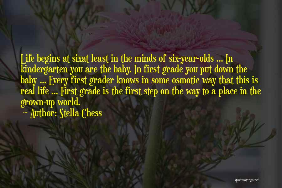 Baby's First Year Quotes By Stella Chess