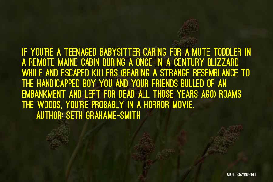 Babysitter Quotes By Seth Grahame-Smith