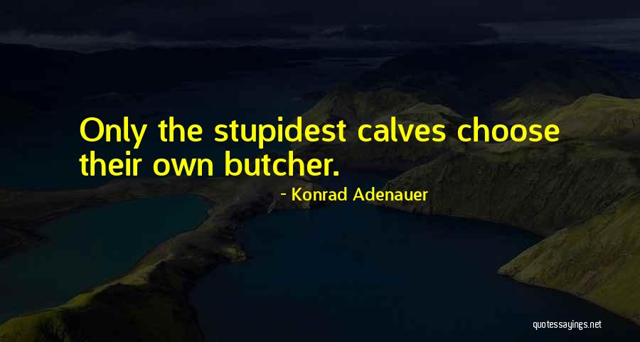 Bacalao Salad Quotes By Konrad Adenauer Bacalao Salad Quotes By Konrad Adenauer