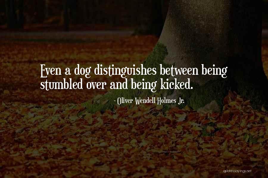 Bacchic Quotes By Oliver Wendell Holmes Jr. Bacchic Quotes By Oliver Wendell Holmes Jr.